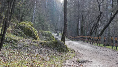 Чудеса Старой Мельницы: чем живет старейший терренкур Белокурихи под занавес осени