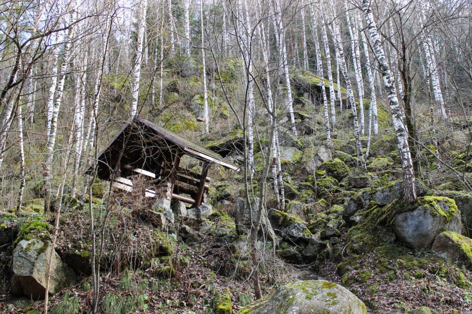 Терренкур "Старая мельница" в Белокурихе