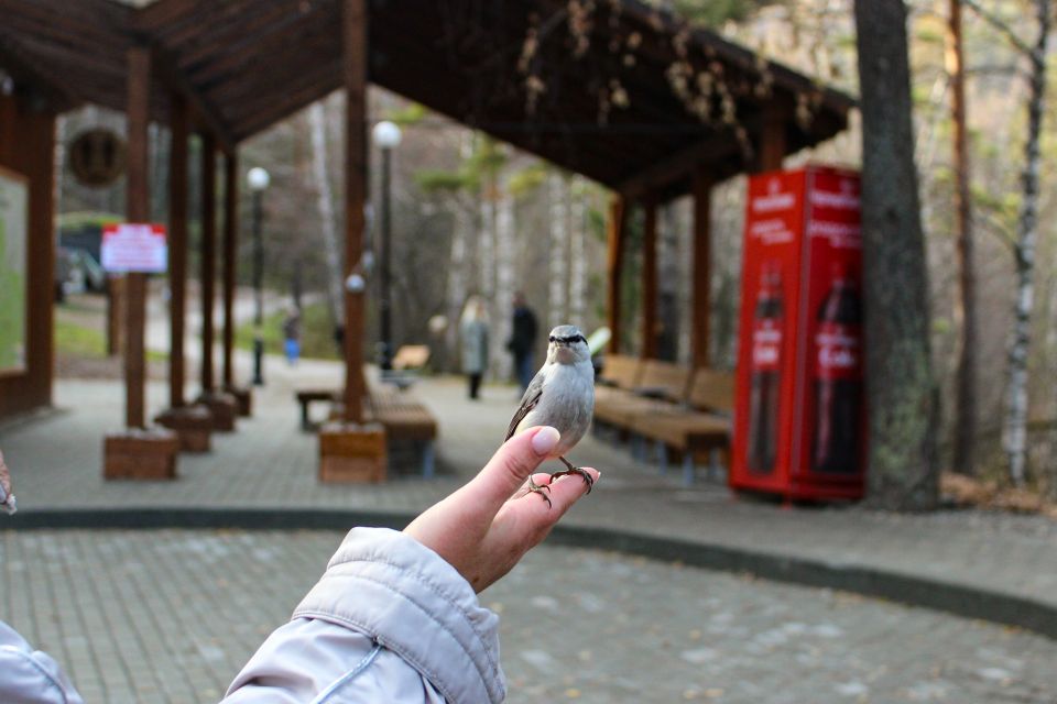 Терренкур "Старая мельница" в Белокурихе