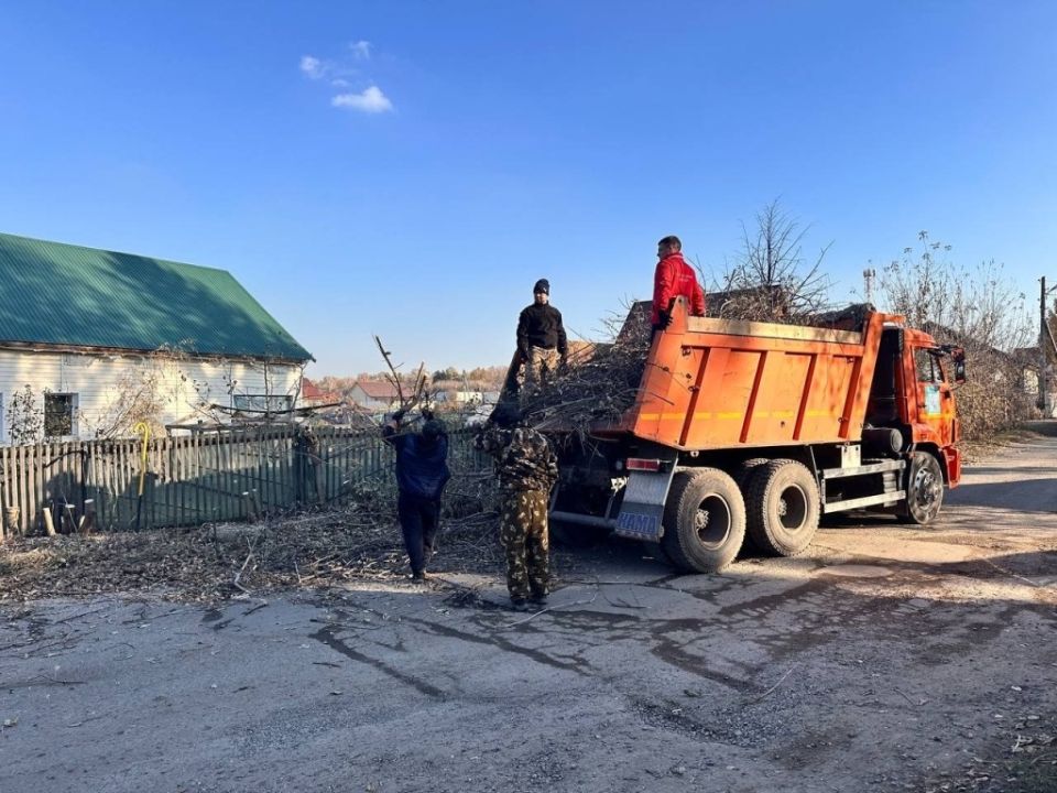 Обрезка зарослей в Ягодном Обрезка зарослей в Ягодном