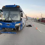 В Республике Алтай автобус насмерть сбил пешехода, перебегавшего дорогу