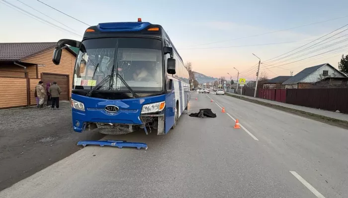 В Республике Алтай автобус насмерть сбил пешехода, перебегавшего дорогу В Республике Алтай автобус насмерть сбил пешехода, перебегавшего дорогу