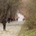 К развитию барнаульского парка Юбилейный привлекут инвесторов: что там планируют