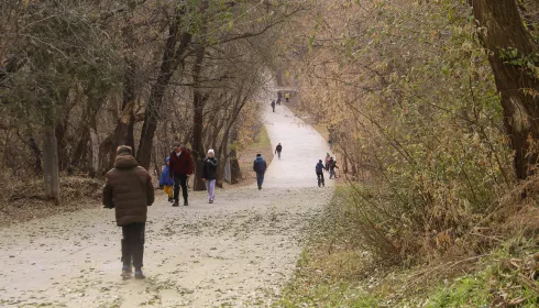 К развитию барнаульского парка Юбилейный привлекут инвесторов: что там планируют