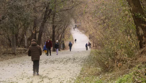 К развитию барнаульского парка Юбилейный привлекут инвесторов: что там планируют