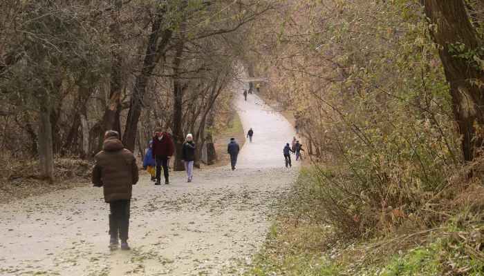 К развитию барнаульского парка Юбилейный привлекут инвесторов: что там планируют
