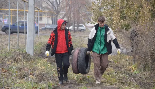 Месяц уборки: горожане очистили Барнаул в преддверии зимы. Фото