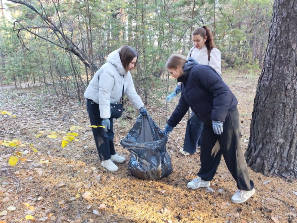 Месячник осенней санитарной очистки в Барнауле