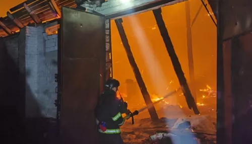 Пожары на Украине и взятие Новоалександровки: сводка событий СВО на 1 ноября