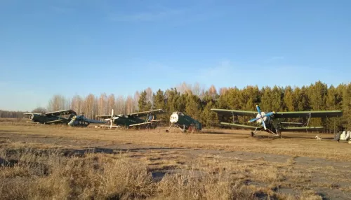 Полетам — быть. Суд поддержал ДОСААФ в спорах вокруг аэродрома Лесной под Барнаулом