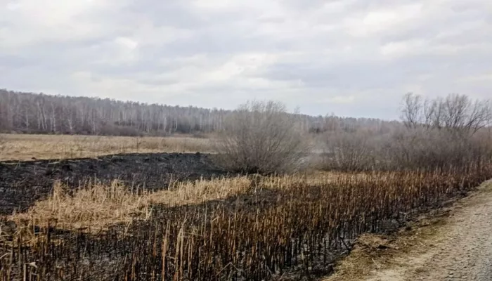 ЧП на сетях и поваленные прилавки. Непогода набирает обороты в Алтайском крае ЧП на сетях и поваленные прилавки. Непогода набирает обороты в Алтайском крае