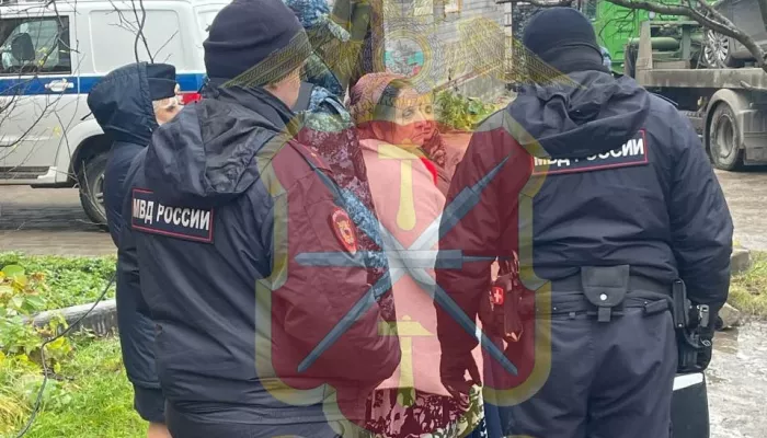 Изъяли авто, арестовали имущество: силовики нагрянули в цыганский поселок под Тулой