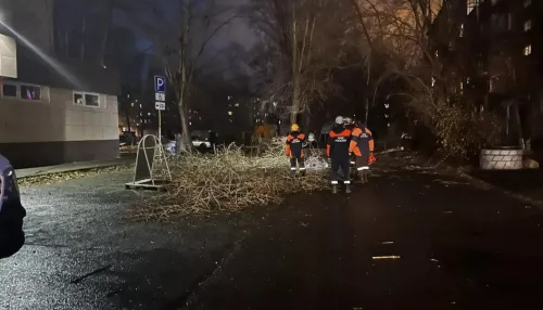 Штормовая погода стала причиной 14 происшествий в Барнауле