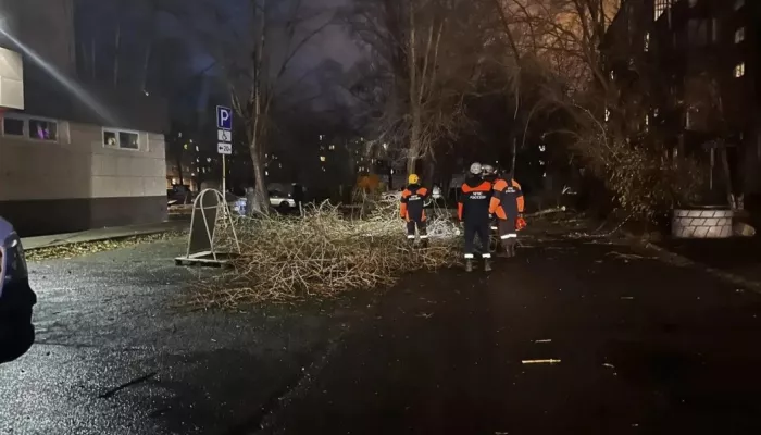 Штормовая погода стала причиной 14 происшествий в Барнауле