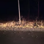 Подросток разбился насмерть на мотоцикле в Республике Алтай