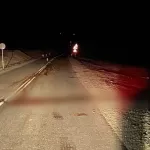 Пьяный водитель сбил выскочившую на дорогу лошадь в Республике Алтай