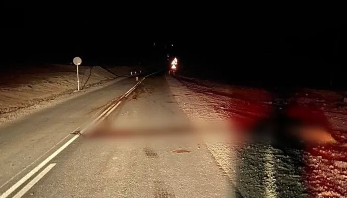 Пьяный водитель сбил выскочившую на дорогу лошадь в Республике Алтай