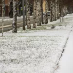 Под белым покрывалом: как выглядит Барнаул после первого ноябрьского снегопада. Фото