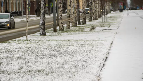 Под белым покрывалом: как выглядит Барнаул после первого ноябрьского снегопада. Фото