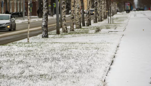 Под белым покрывалом: как выглядит Барнаул после первого ноябрьского снегопада. Фото