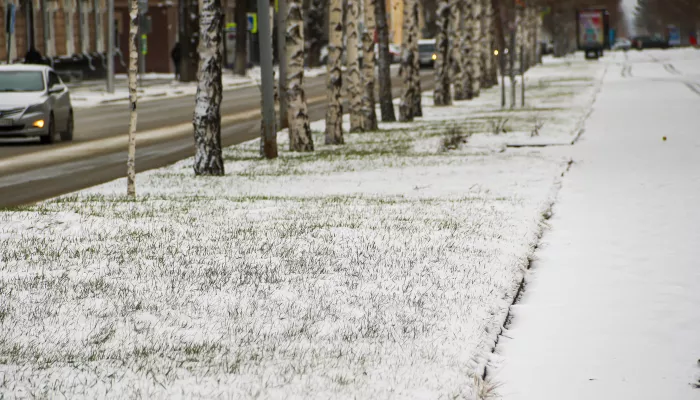 Под белым покрывалом: как выглядит Барнаул после первого ноябрьского снегопада. Фото