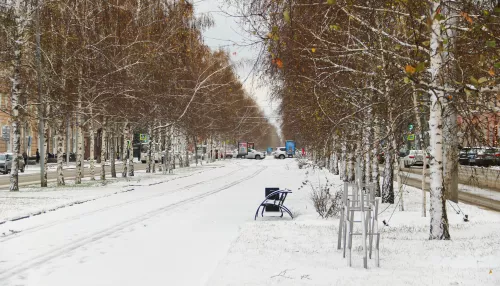 Оттепель до +1 градуса придет в Алтайский край 3 декабря. Когда будут морозы
