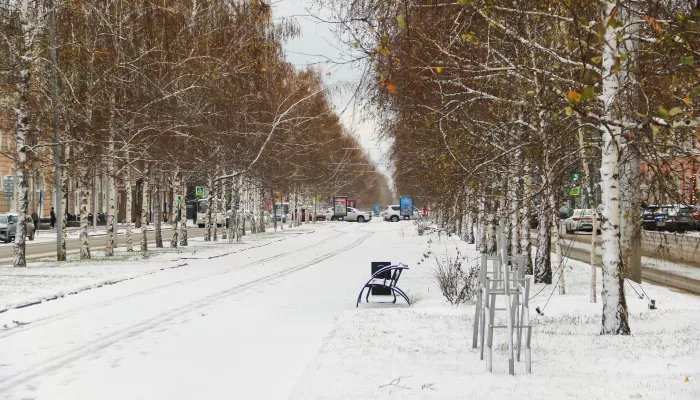 Оттепель до +1 градуса придет в Алтайский край 3 декабря. Когда будут морозы