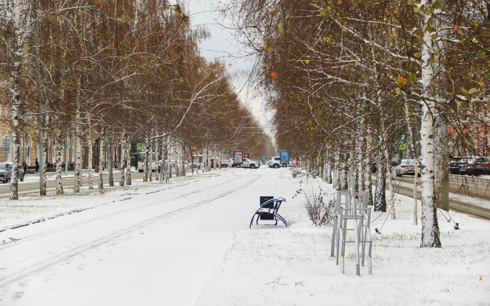 Оттепель до 1 градуса придет в Алтайский край 3 декабря. Когда будут морозы