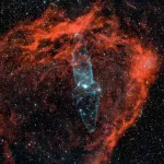 Алтайский астрофотограф запечатлел гигантского кальмара в космосе. Фото