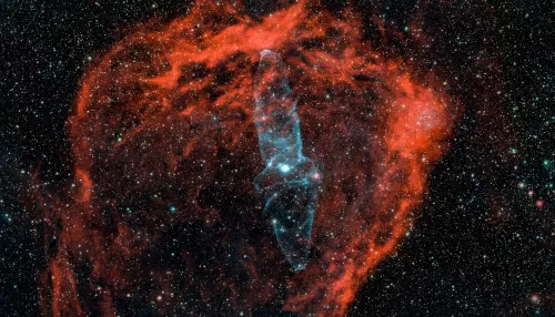 Алтайский астрофотограф запечатлел гигантского кальмара в космосе. Фото