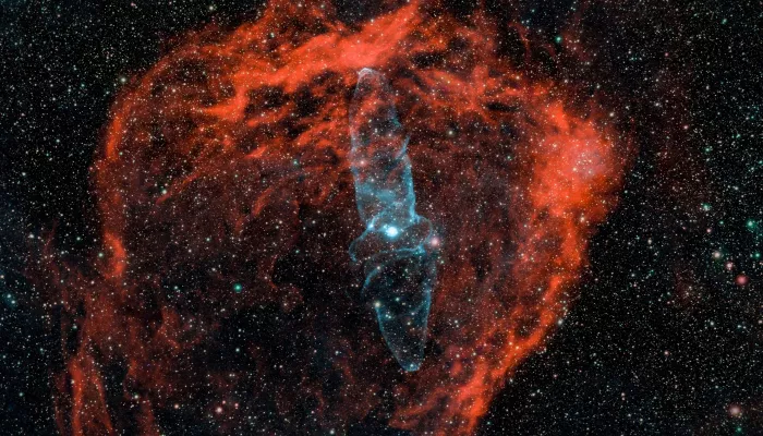 Алтайский астрофотограф запечатлел гигантского кальмара в космосе. Фото