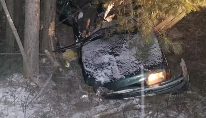 Подросток погиб в ДТП после столкновения с деревом в Алтайском крае