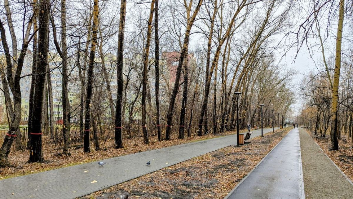 Бывший парк имени Ленина