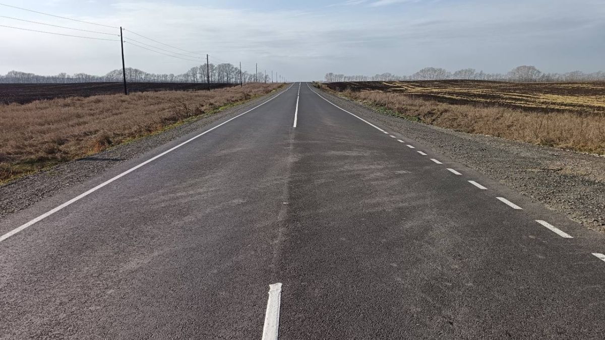 Дорога к заказнику "Лебединый"
