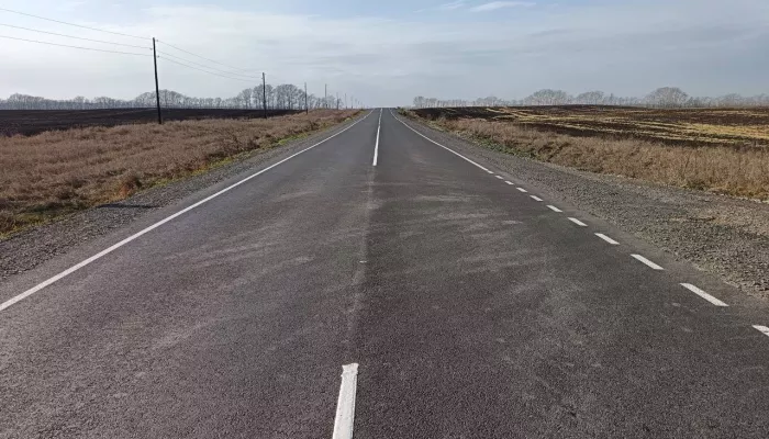 Дорогу к заказнику Лебединый в Алтайском крае ремонтируют за 192 млн рублей