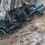 Подросток погиб в ДТП после столкновения с деревом в Алтайском крае