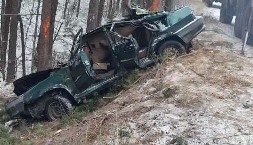 Подросток погиб в ДТП после столкновения с деревом в Алтайском крае