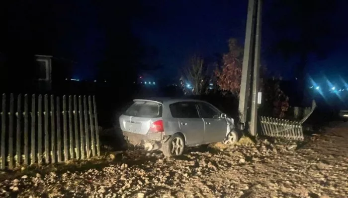 В Республике Алтай пьяный водитель попытался скрыться от ДПС и влетел в столб