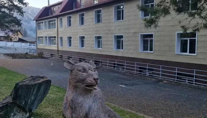 Действующую базу отдыха продают в Горном Алтае за 458 млн рублей. Фото