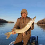 В Алтайском крае одни рыбаки закрыли сезон, а другие вышли на первый лед. Фото уловов