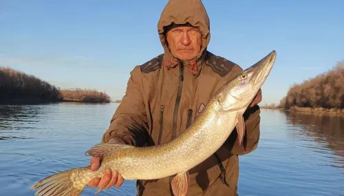 В Алтайском крае одни рыбаки закрыли сезон, а другие вышли на первый лед. Фото уловов