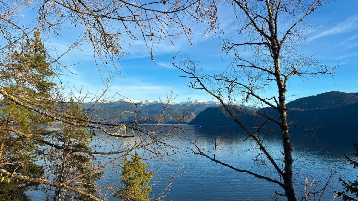 Природа Алтайского заповедника в начале ноября