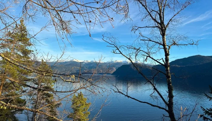 В Алтайском заповеднике показали природу, замершую в ожидании зимы. Фото