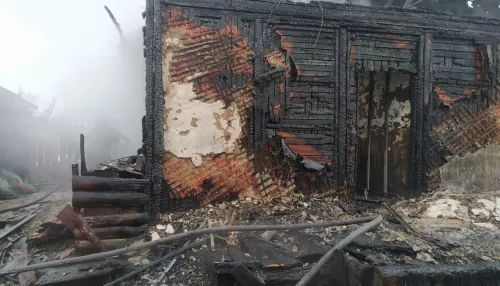 Спасла младших, послали за документами: в новосибирском селе в пожаре погибла девочка