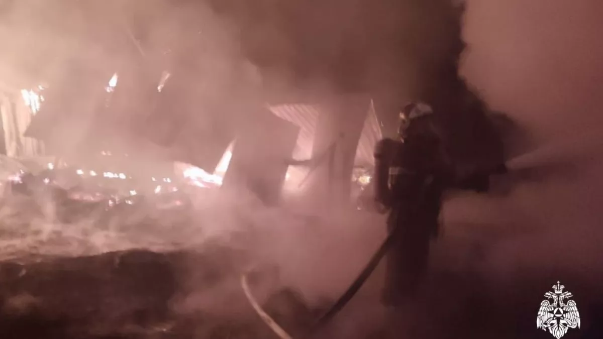 Пожар в селе Дмитриевка