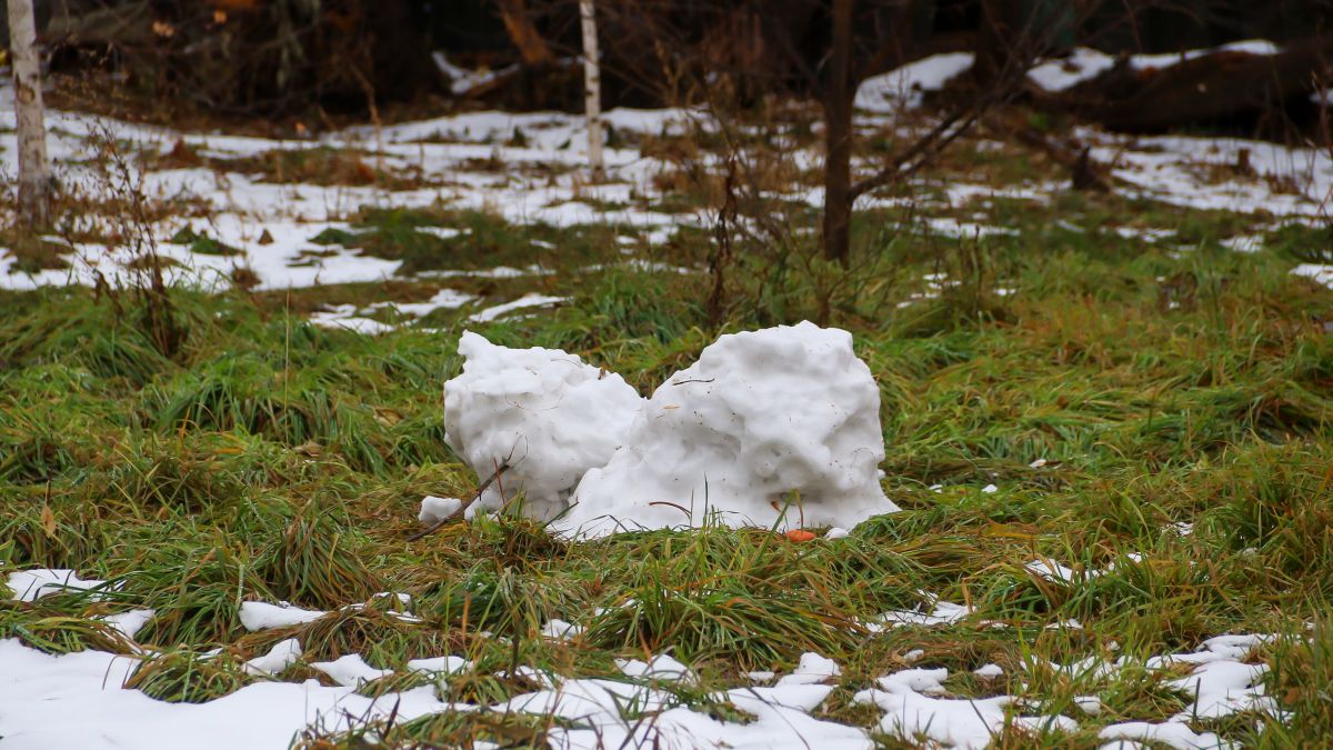 Барнаул. Ноябрь 