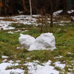 Курс на потепление: какая погода ждет Алтайский край в выходные 15 и 16 ноября