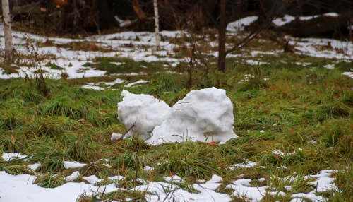 Курс на потепление: какая погода ждет Алтайский край в выходные 15 и 16 ноября
