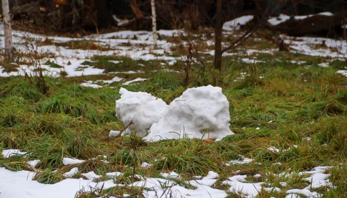Курс на потепление: какая погода ждет Алтайский край в выходные 15 и 16 ноября