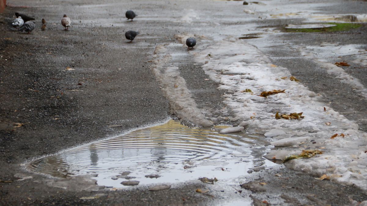 Барнаул. Ноябрь 